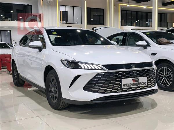 بي واي دي Qin Plus 2025 للبيع في العراق - اربيل